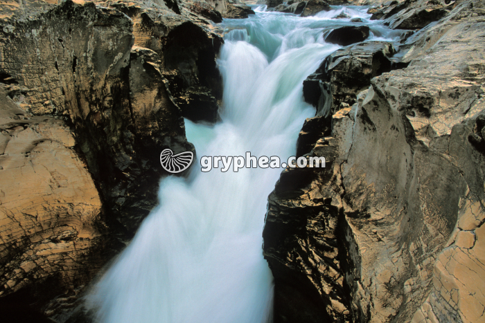 Gorges de la Cèze - gryphea.org